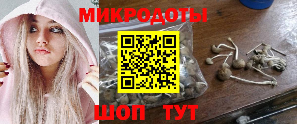 купить наркотик  Псилоцибиновые грибы Cubensis  Лабытнанги  Вход с VPN  Галлюциногенные грибы ЛСД 